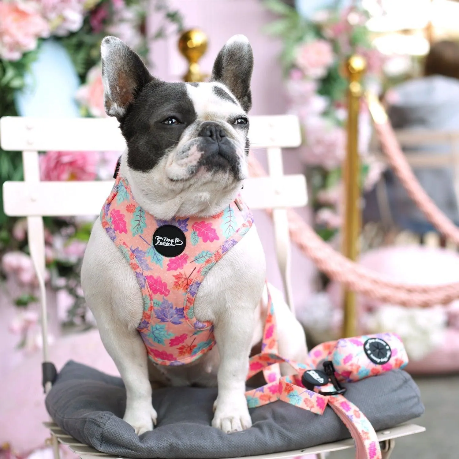 Adjustable Dog Harness Fall In Love