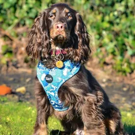 Adjustable Dog Harness - Ocean Adventures