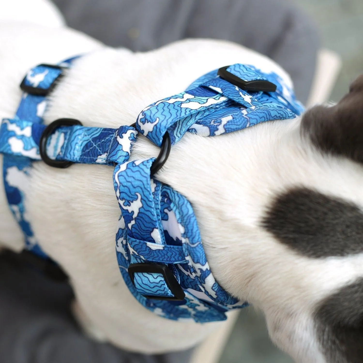 Adjustable Dog Harness - Ocean Adventures
