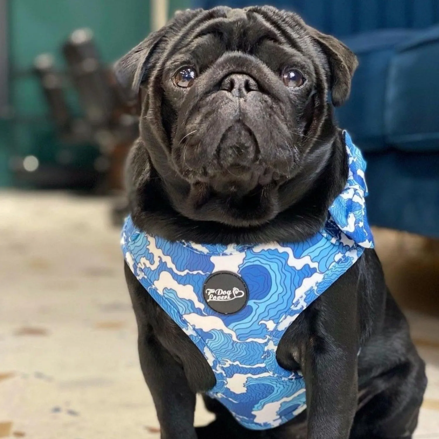 Adjustable Dog Harness - Ocean Adventures