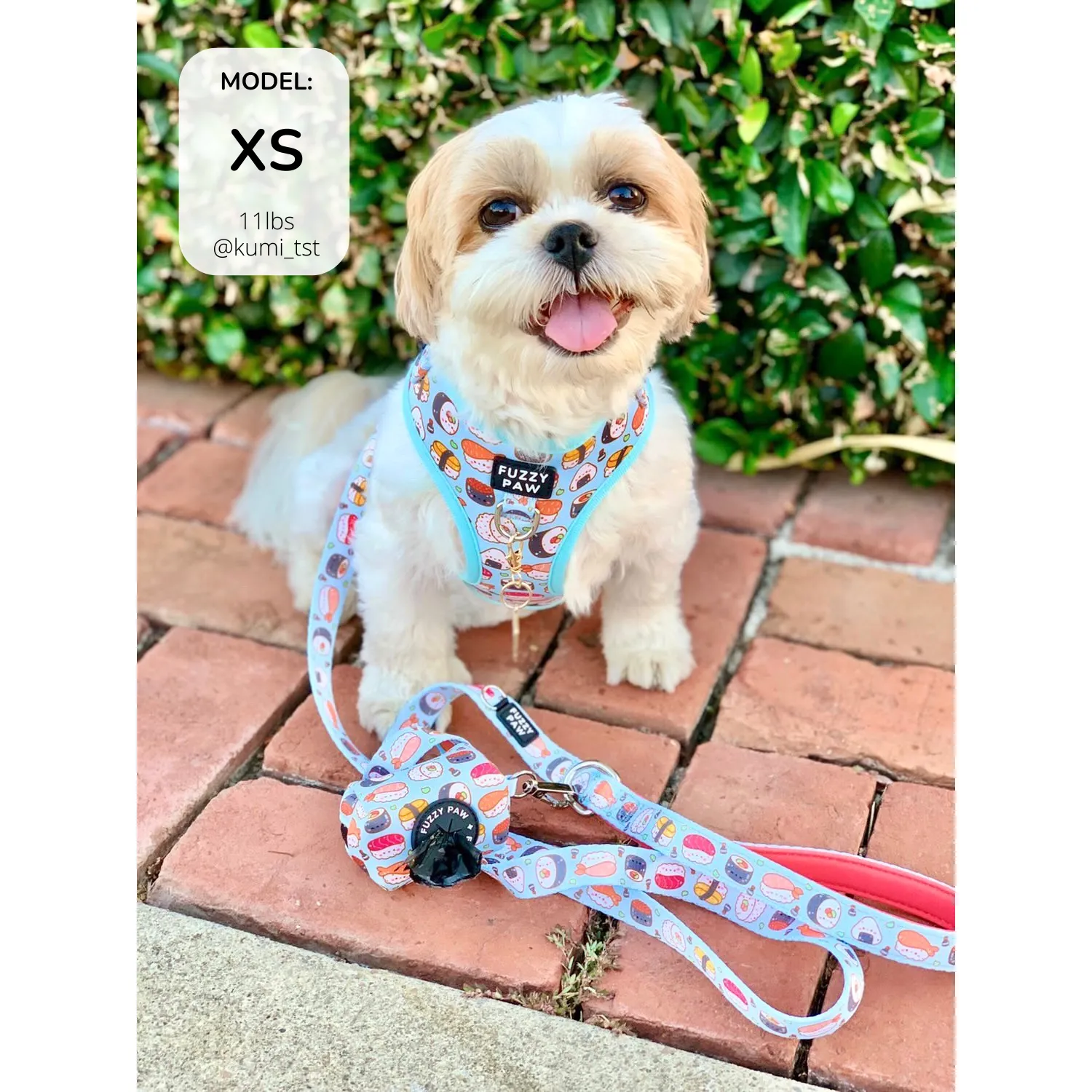 Adjustable Harness - Sushi Lover