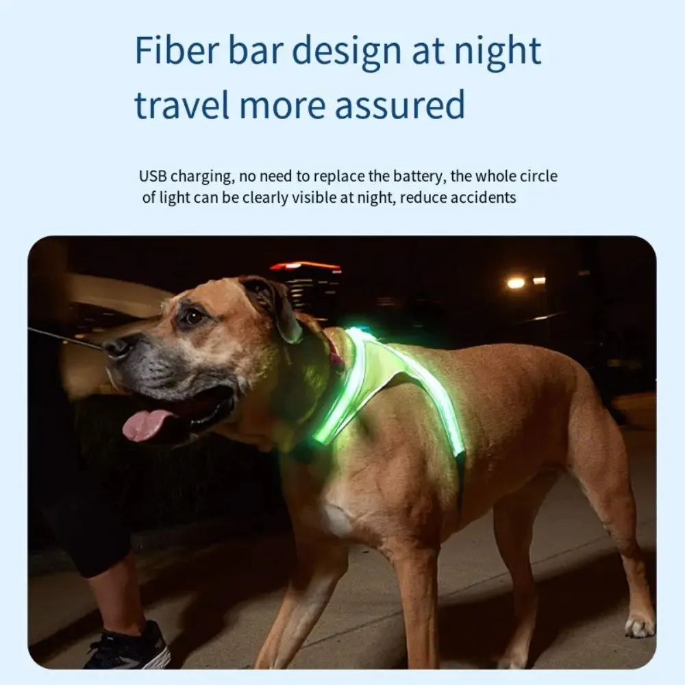 Adjustable LED Light-Up Dog Harness with Leash