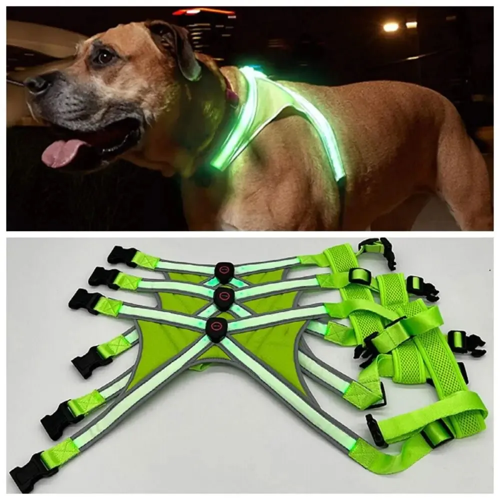 Adjustable LED Light-Up Dog Harness with Leash