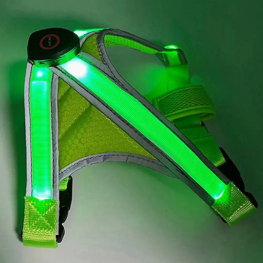Adjustable LED Light-Up Dog Harness with Leash