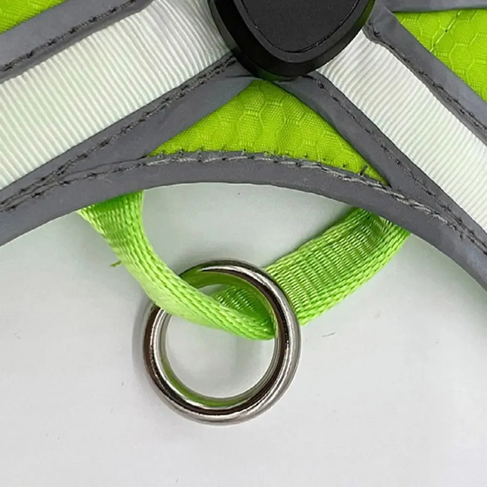Adjustable LED Light-Up Dog Harness with Leash