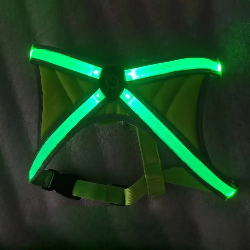 Adjustable LED Light-Up Dog Harness with Leash