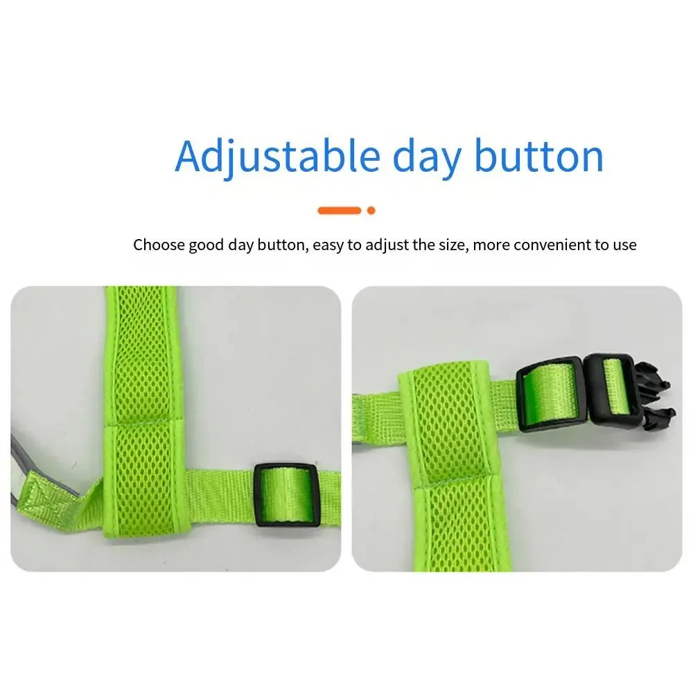 Adjustable LED Light-Up Dog Harness with Leash
