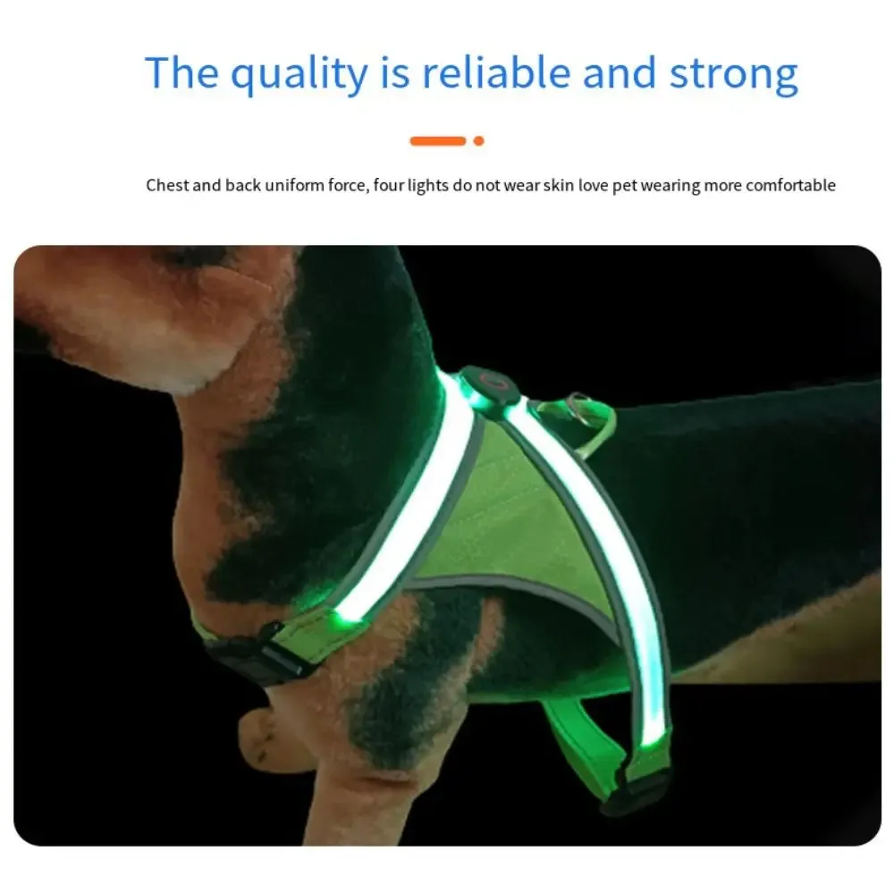 Adjustable LED Light-Up Dog Harness with Leash
