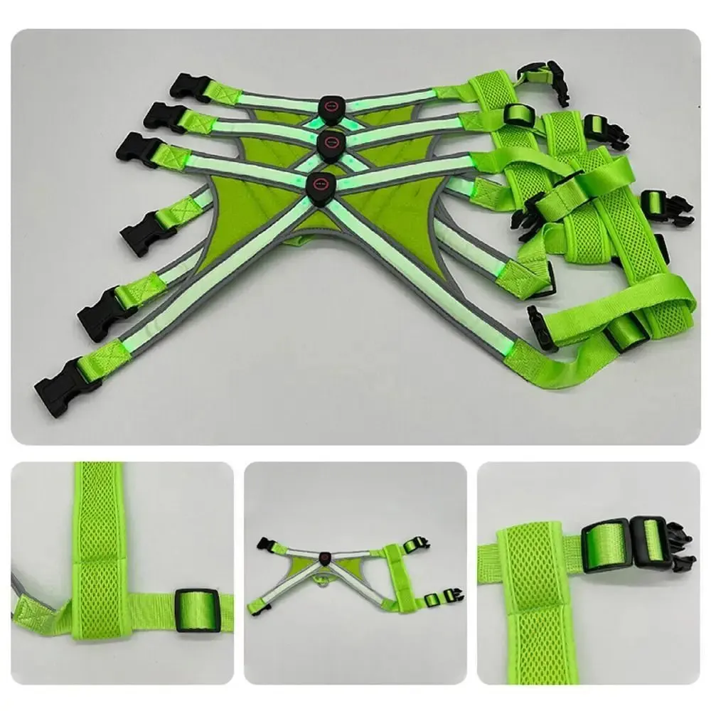 Adjustable LED Light-Up Dog Harness with Leash