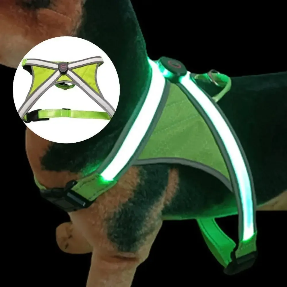 Adjustable LED Light-Up Dog Harness with Leash
