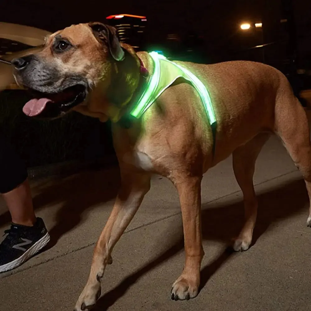 Adjustable LED Light-Up Dog Harness with Leash