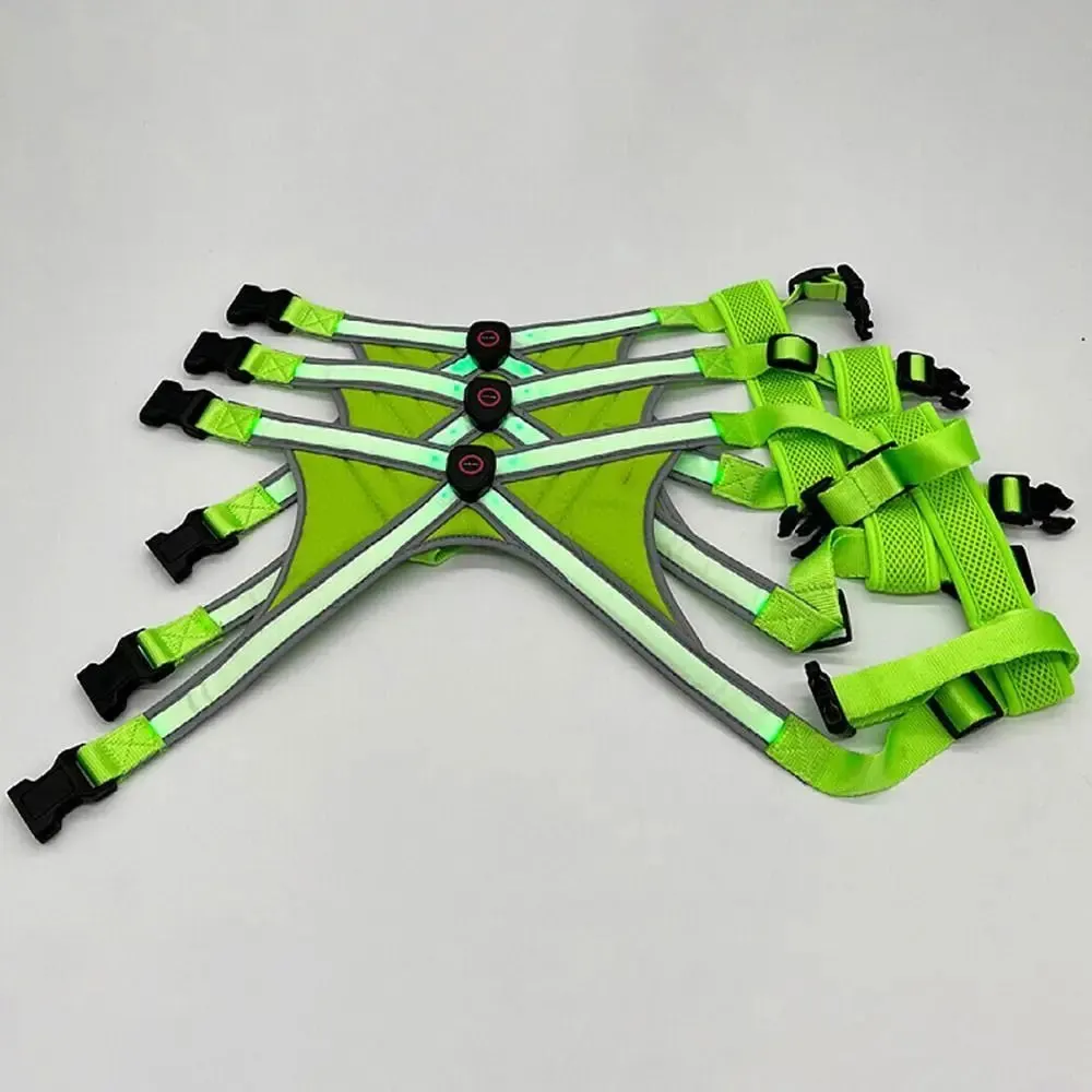 Adjustable LED Light-Up Dog Harness with Leash