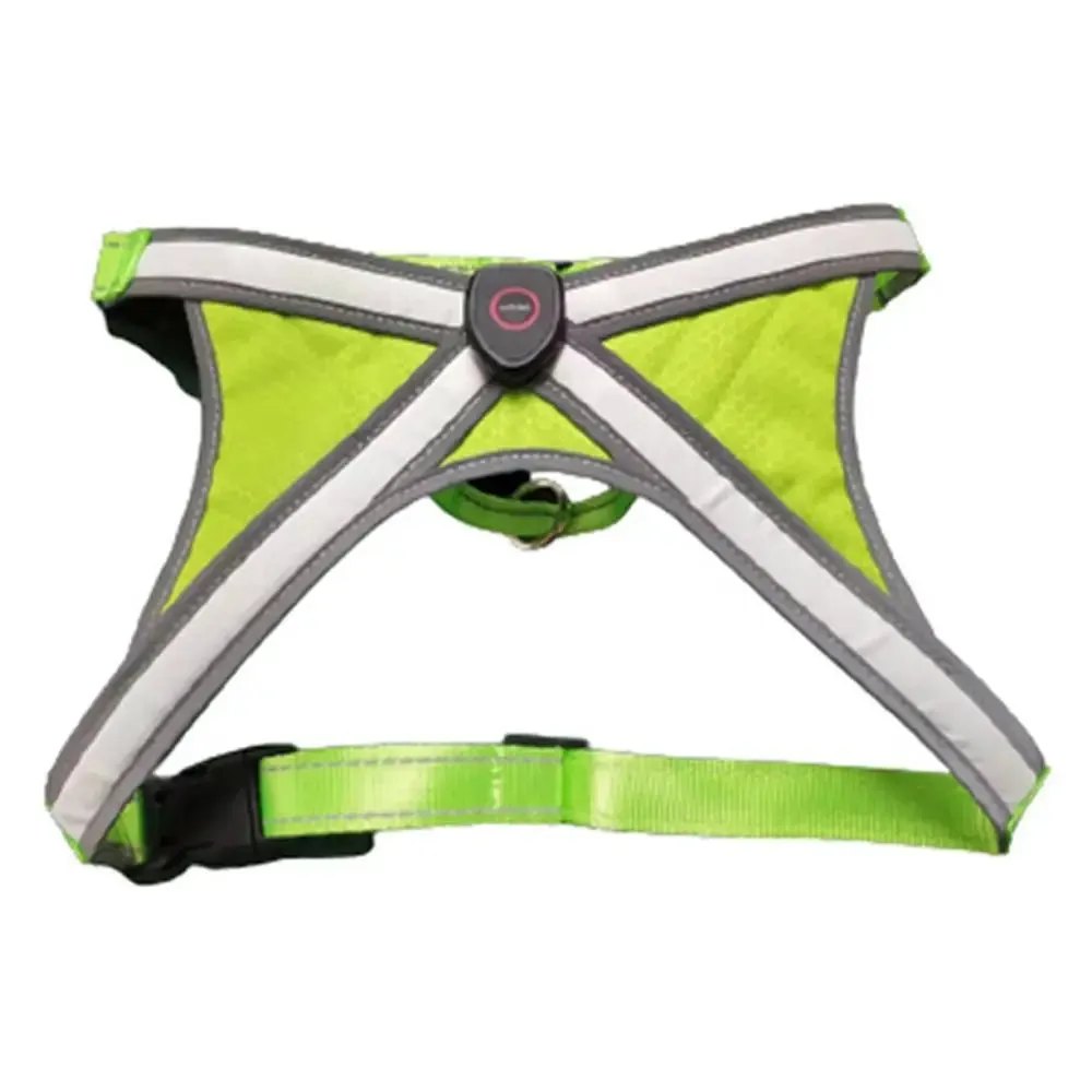 Adjustable LED Light-Up Dog Harness with Leash