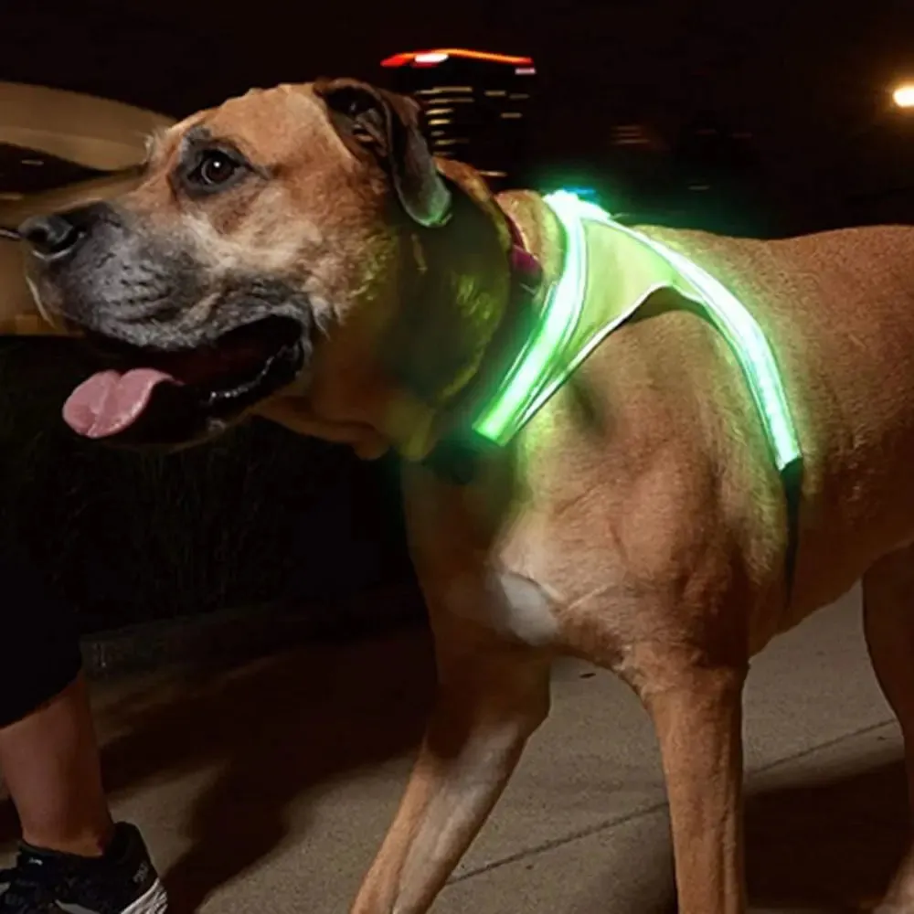 Adjustable LED Light-Up Dog Harness with Leash