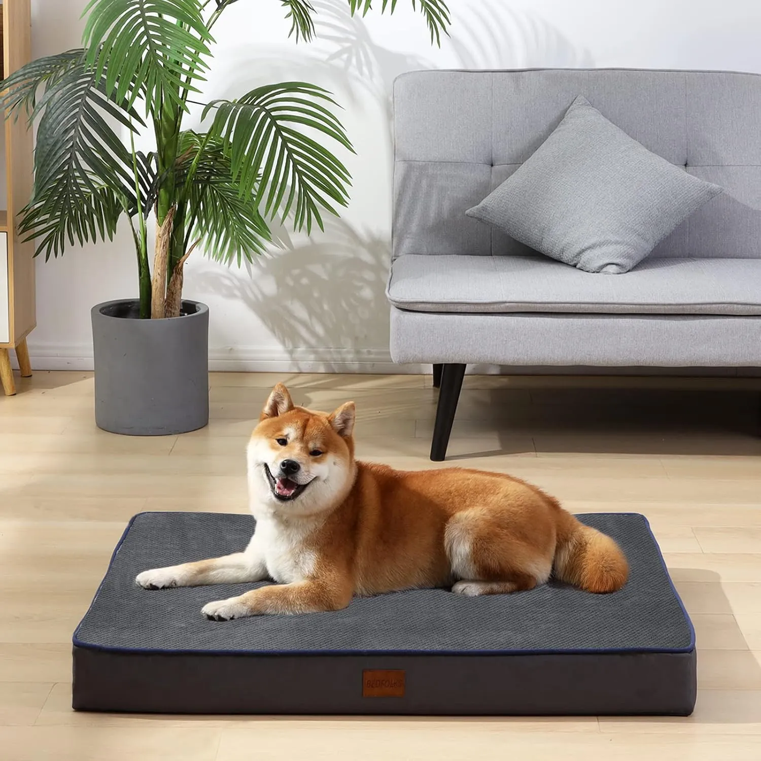 Bedfolks Orthopedic Memory Foam Dog Bed - 4" Thick, Reversible Washable, Dark Grey