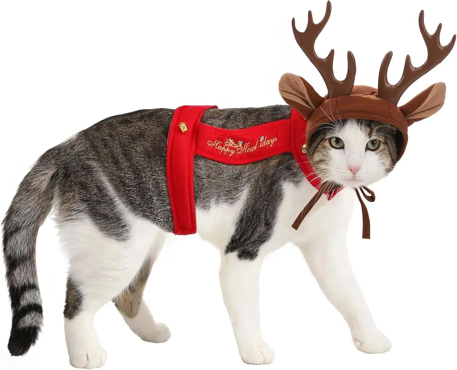 California Costumes Dog Reindeer Costume, Medium