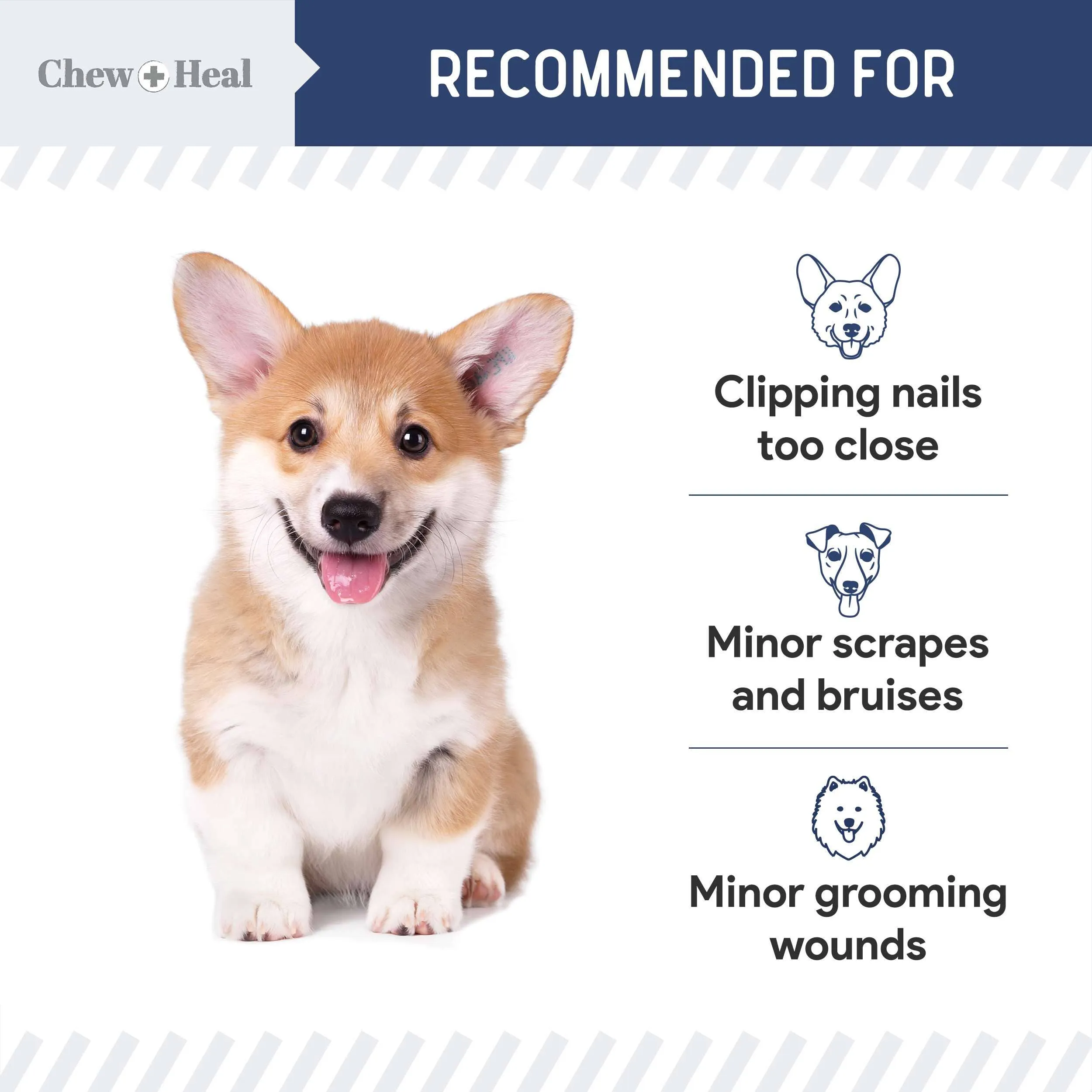 Chew   Heal Styptic Powder for Dogs, Cats and Birds