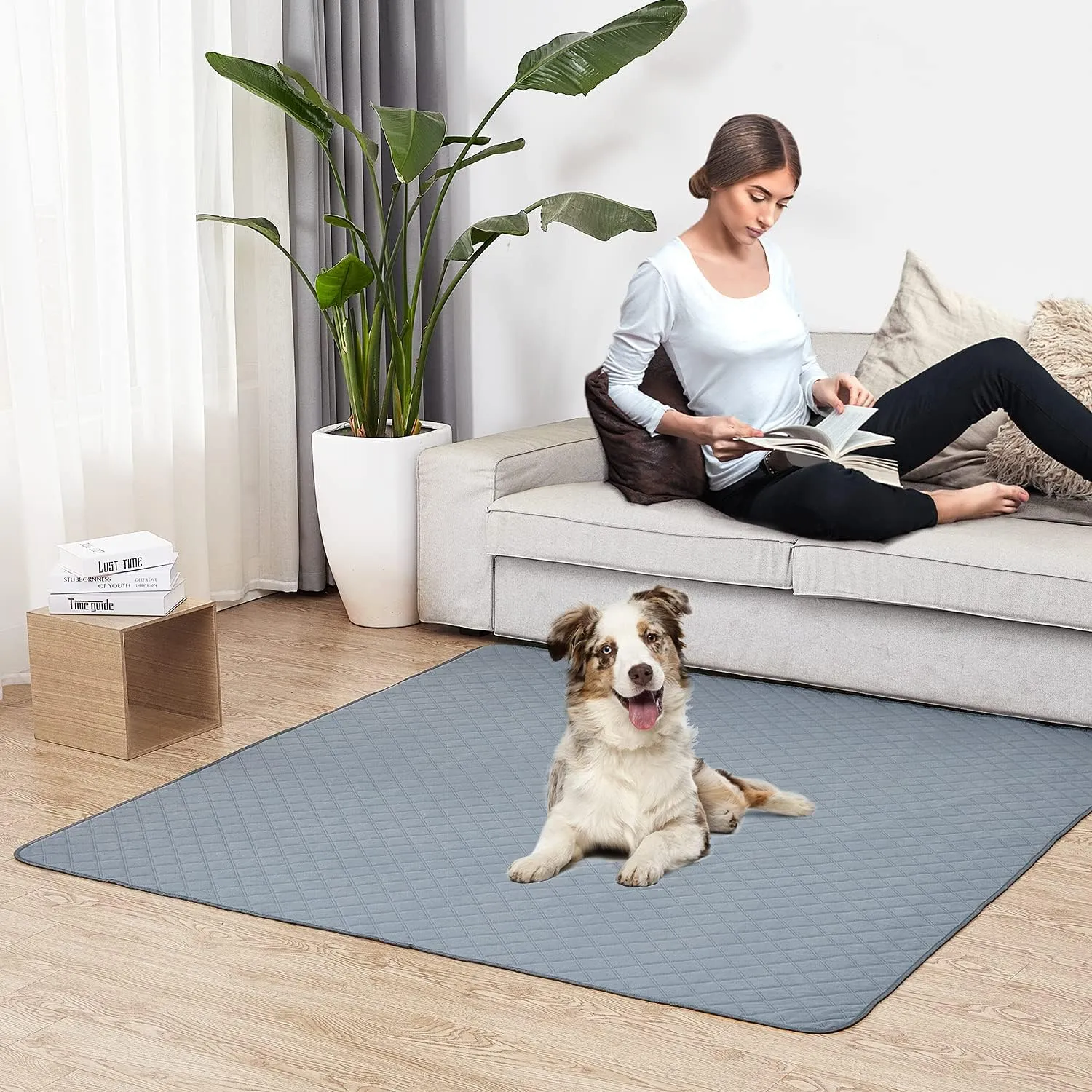 Eterish Reusable Washable Pee Pads for Dogs Small/Large/Extra Large 18'' x 24'' 2 Pack, Absorbent Pet Puppy Dog Training Pads Non-Slip, Waterproof Whelping Potty Pads for Dogs Leak-Proof