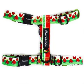 Frenchiestore Adjustable Pet Health Strap Harness | Watermelon