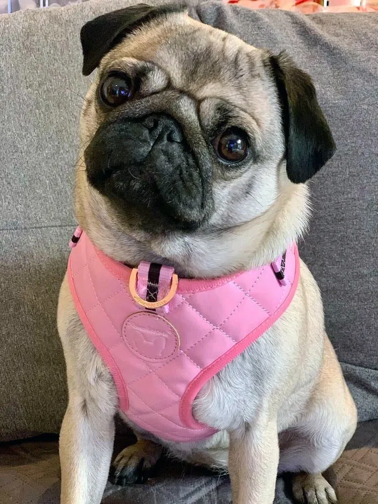 Frenchiestore Neck Adjustable Vegan Leather Health Harness | Pink Varsity