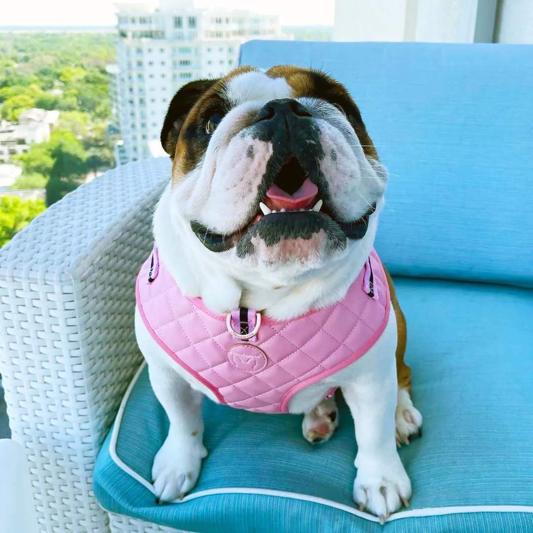 Frenchiestore Neck Adjustable Vegan Leather Health Harness | Pink Varsity