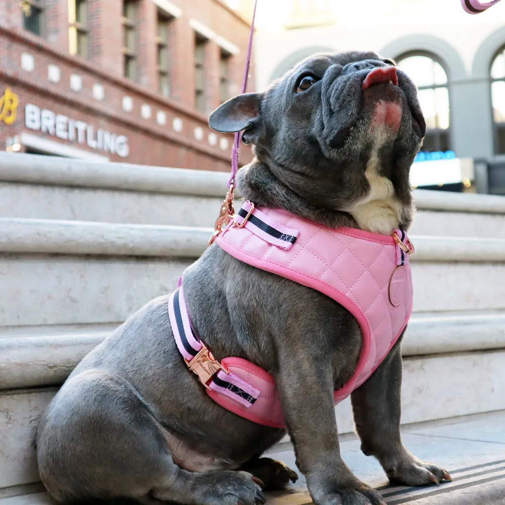 Frenchiestore Neck Adjustable Vegan Leather Health Harness | Pink Varsity