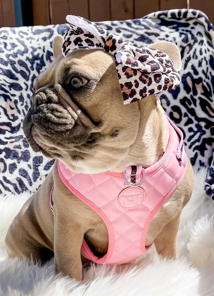 Frenchiestore Neck Adjustable Vegan Leather Health Harness | Pink Varsity