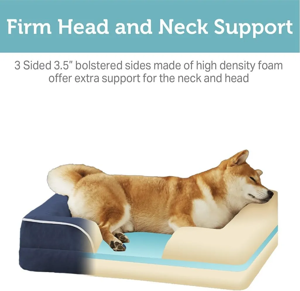 Friends Forever Orthopedic Dog Bed, Bolster Dog Bed with Memory Foam Pet Couch Sofa and Removable Washable Cover, Ally Navy, 42x32x7