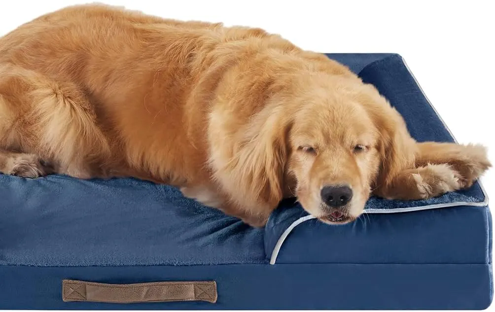 Friends Forever Orthopedic Dog Bed, Bolster Dog Bed with Memory Foam Pet Couch Sofa and Removable Washable Cover, Ally Navy, 42x32x7