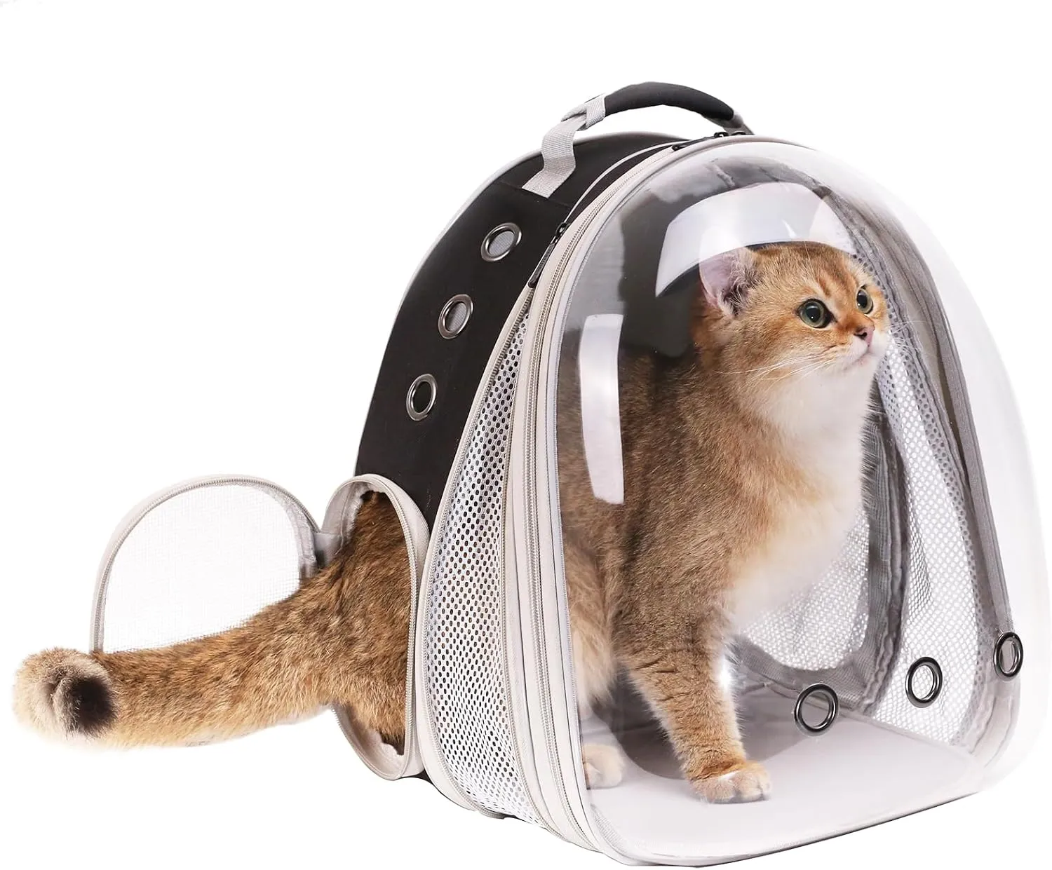 Front Expandable Large Cat Backpack Carrier, Fit up to 20 lbs, Space Capsule Bubble Window Pet Carrier Backpack for Large Fat Cat and Small Puppy