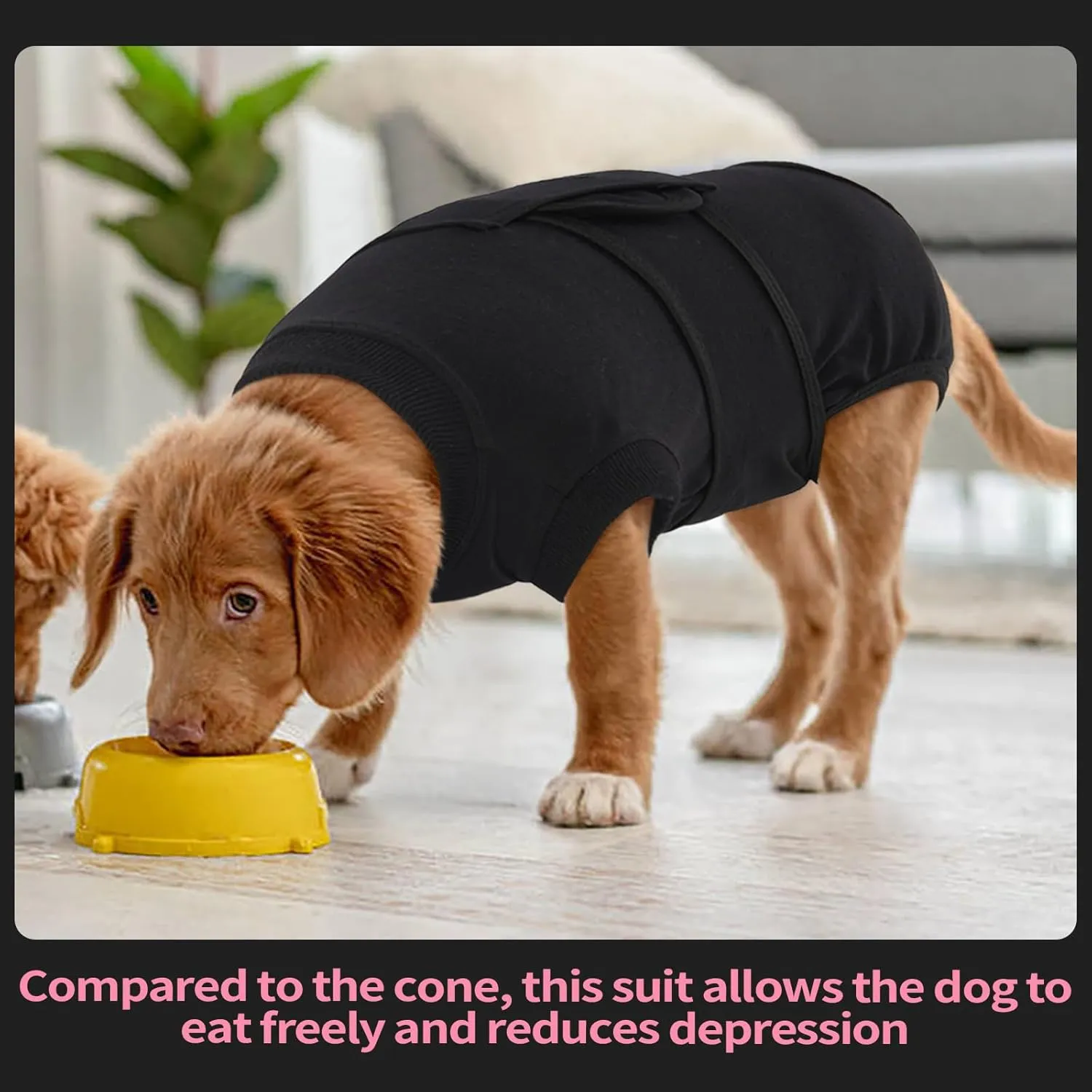 FUAMEY Dog Recovery Suit Male,Dogs Surgery Neuter Suits Puppy Spay Shirts for Female Protect Dog's Skin Anti Licking Abdominal Wounds Doggie Onesie Pet Bodysuit Alternative to Cone Black M