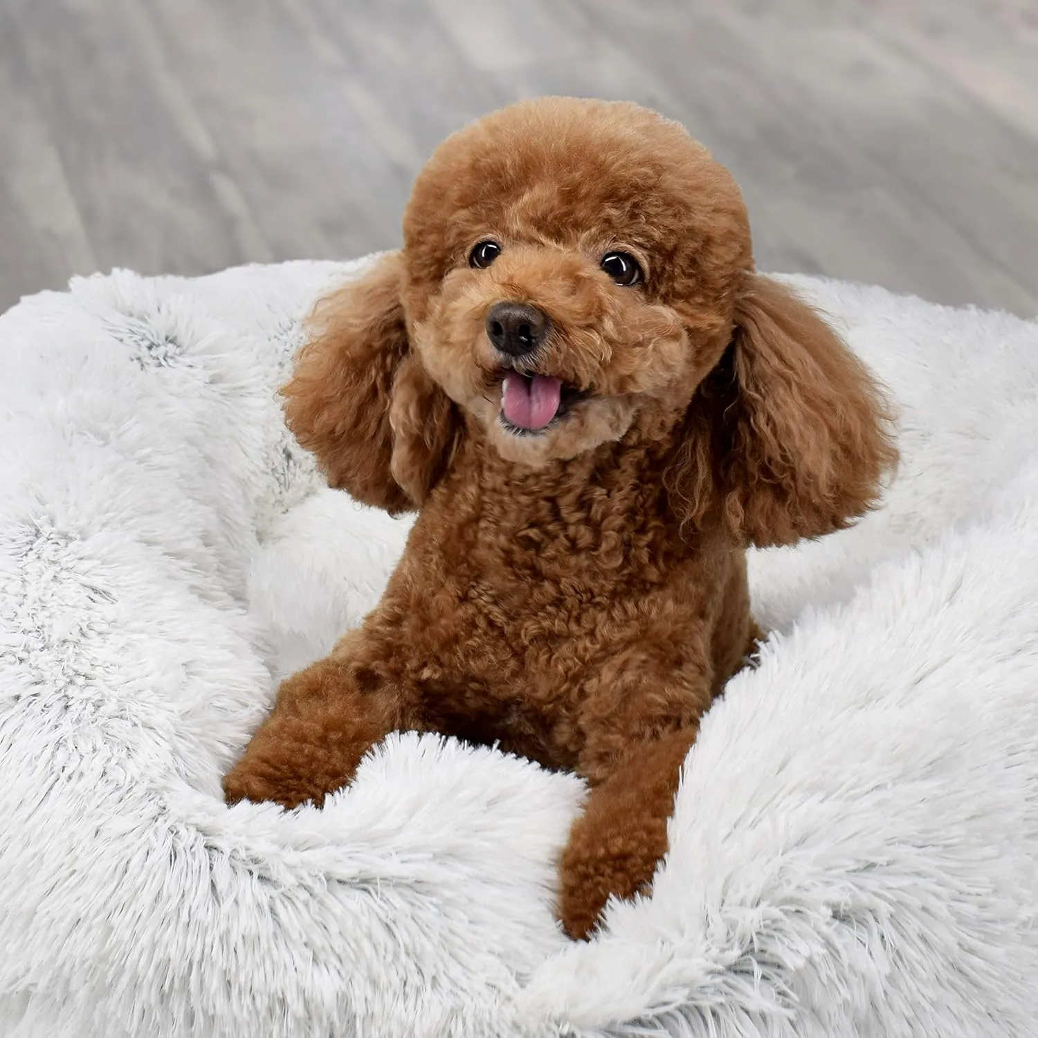 FuzzBall Fluffy Luxe Pet Bed, Calming Donut Cuddler  Machine Washable, Waterproof Base, Anti-Slip (for Medium Dogs and Cats up to 45lbs)