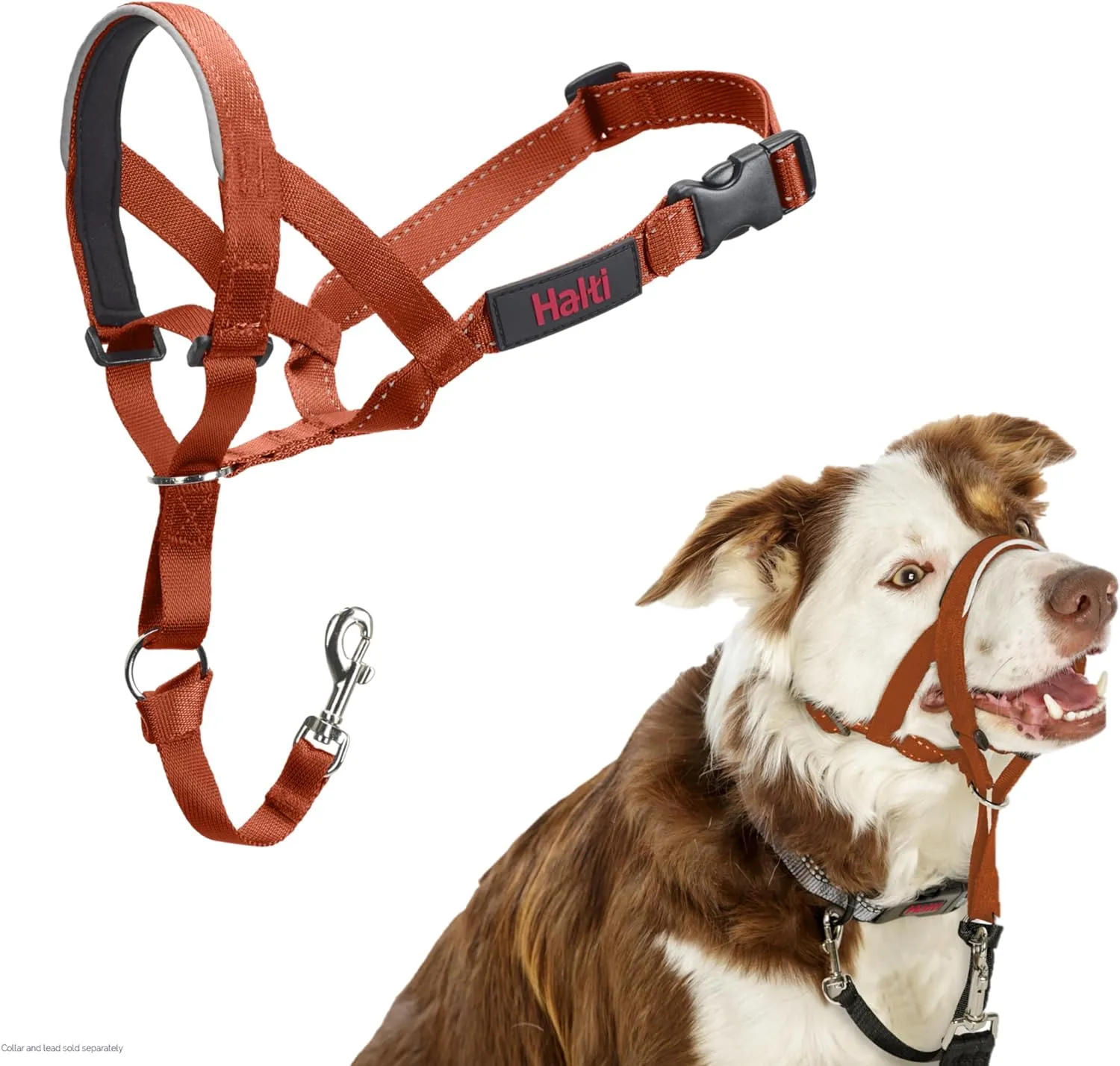 HALTI Headcollar - to Stop Your Dog Pulling on The Leash. Adjustable, Reflective and Lightweight, with Padded Nose Band. Dog Training Anti-Pull Collar for Medium Dogs (Size 2, Burnt Orange)