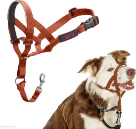 HALTI Headcollar - to Stop Your Dog Pulling on The Leash. Adjustable, Reflective and Lightweight, with Padded Nose Band. Dog Training Anti-Pull Collar for Medium Dogs (Size 2, Burnt Orange)