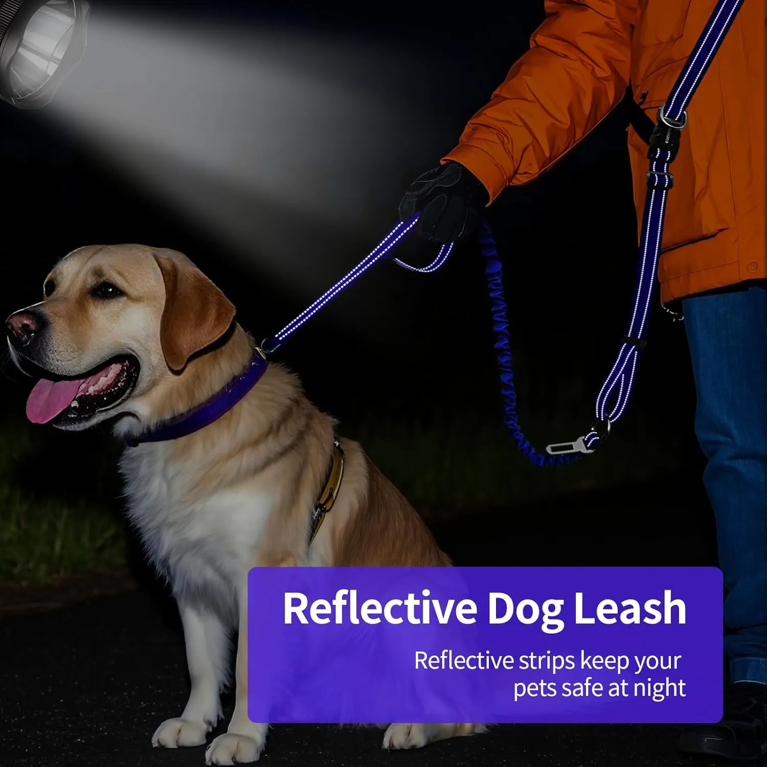 Hands Free Dog Leash for Large Dogs Adjustable 6 to 9 Feet Heavy Duty with No Pull Bungee & Reflective Ideal for Running, Jogging, Leash Carabiner for Ultimate Convenience Purple