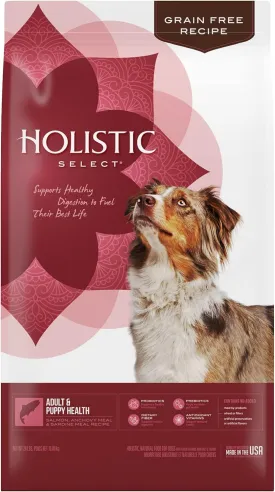 Holistic Select Natural Grain Free Dry Dog Food, Adult & Puppy Salmon, Anchovy & Sardine Recipe, 24-Pound Bag