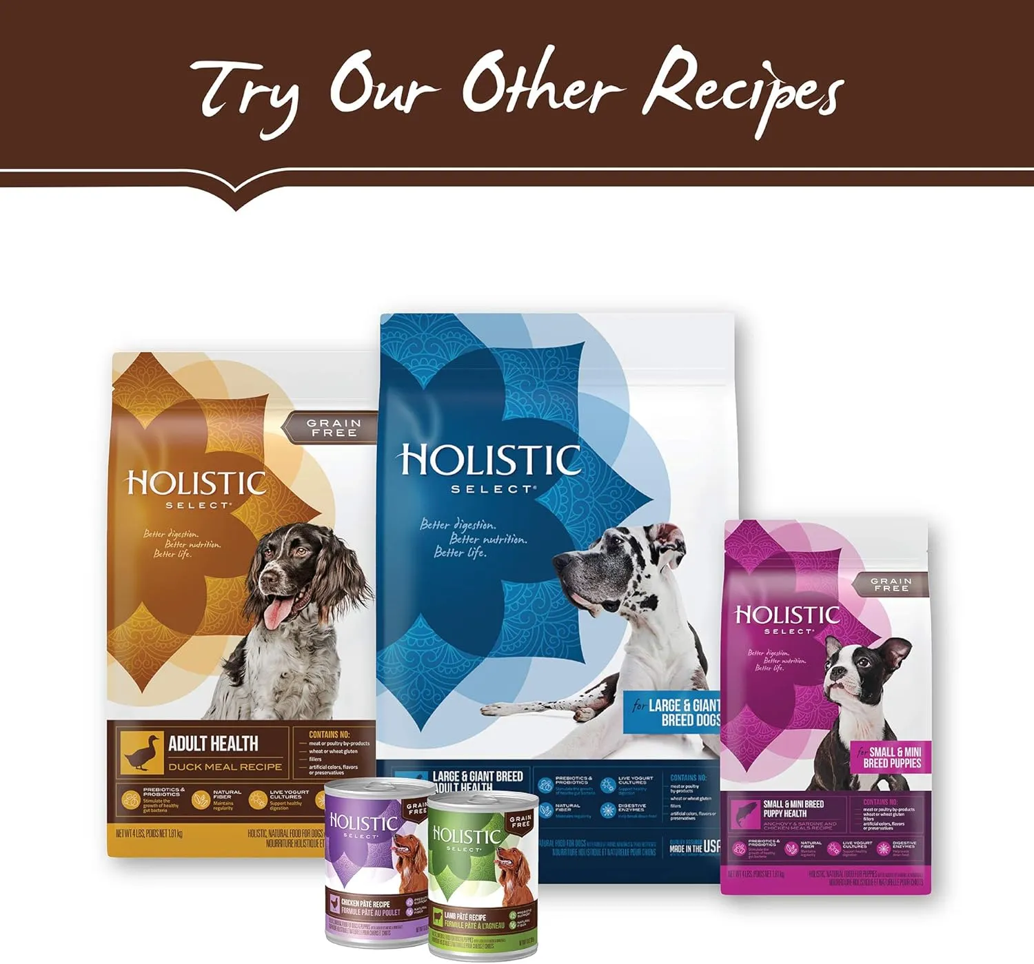 Holistic Select Natural Grain Free Dry Dog Food, Adult & Puppy Salmon, Anchovy & Sardine Recipe, 24-Pound Bag