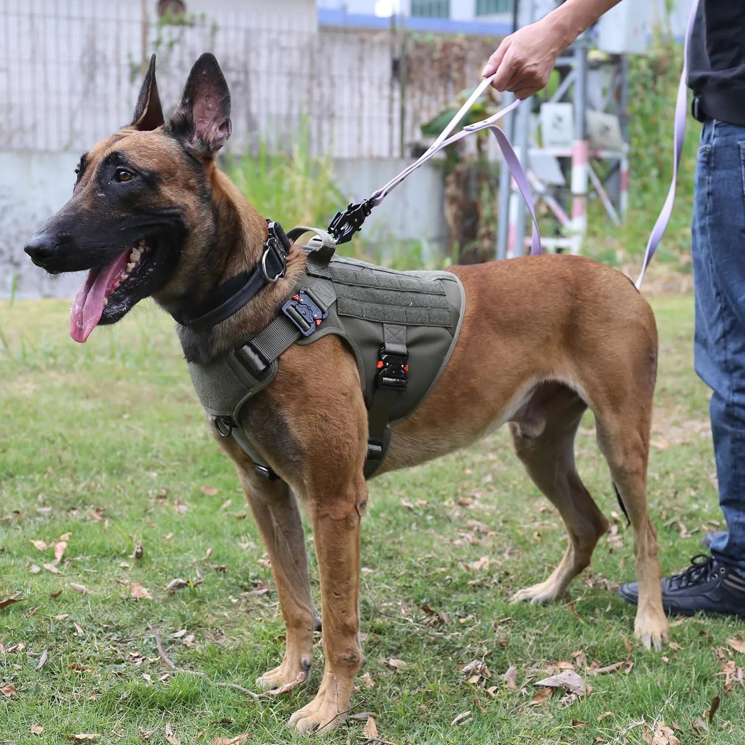 ICEFANG Tactical Dog Harness with 4X Metal Buckle,Working Dog MOLLE K9 Vest with Handle,No Pulling Front Clip,Adjustable Pet Harness for Meduim Dogs (M (25"-31" Chest), Green)