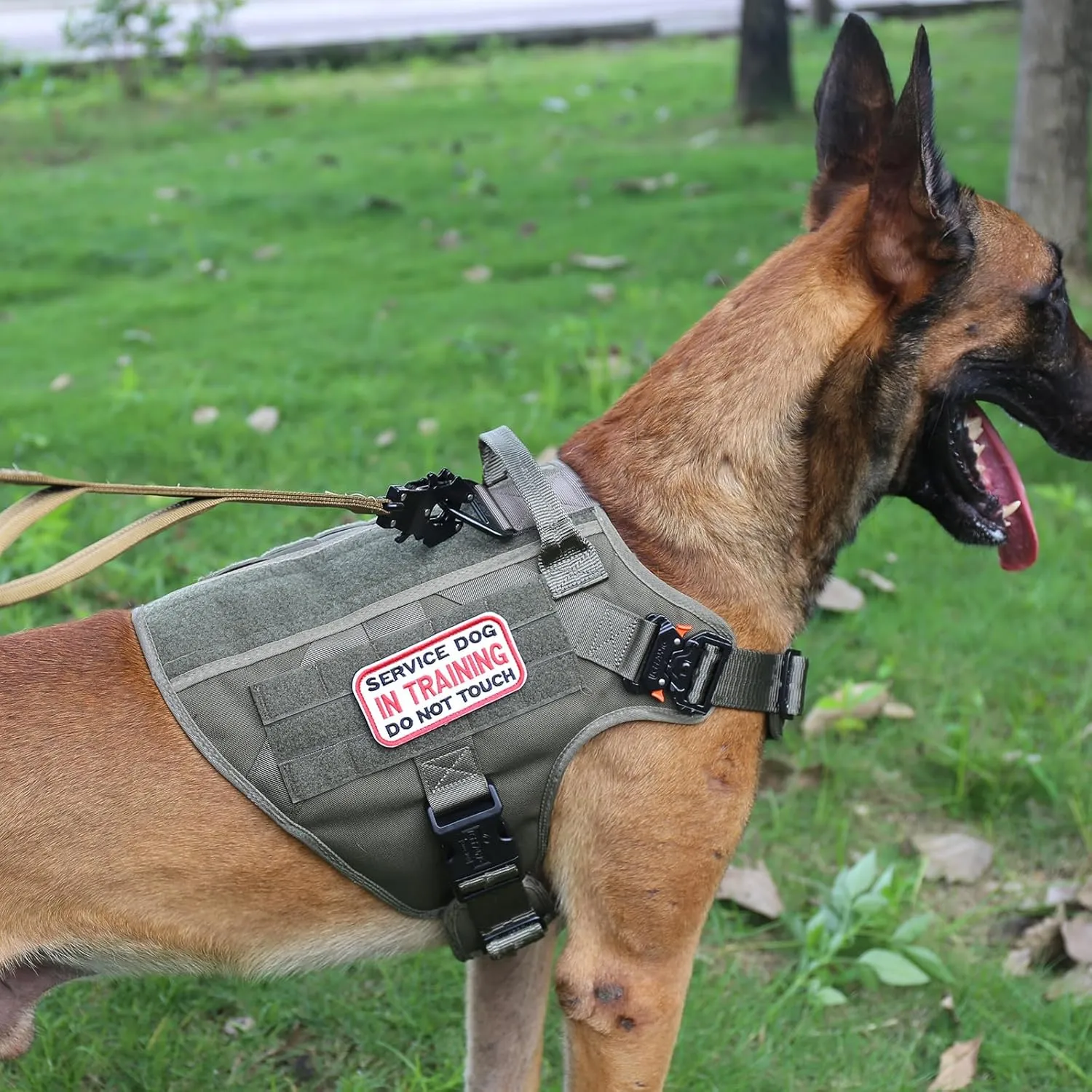 ICEFANG Tactical Dog Harness,Large Size, 2X Metal Buckle,Working Dog MOLLE Vest with Handle,No Pulling Front Leash Clip,Hook and Loop Panel