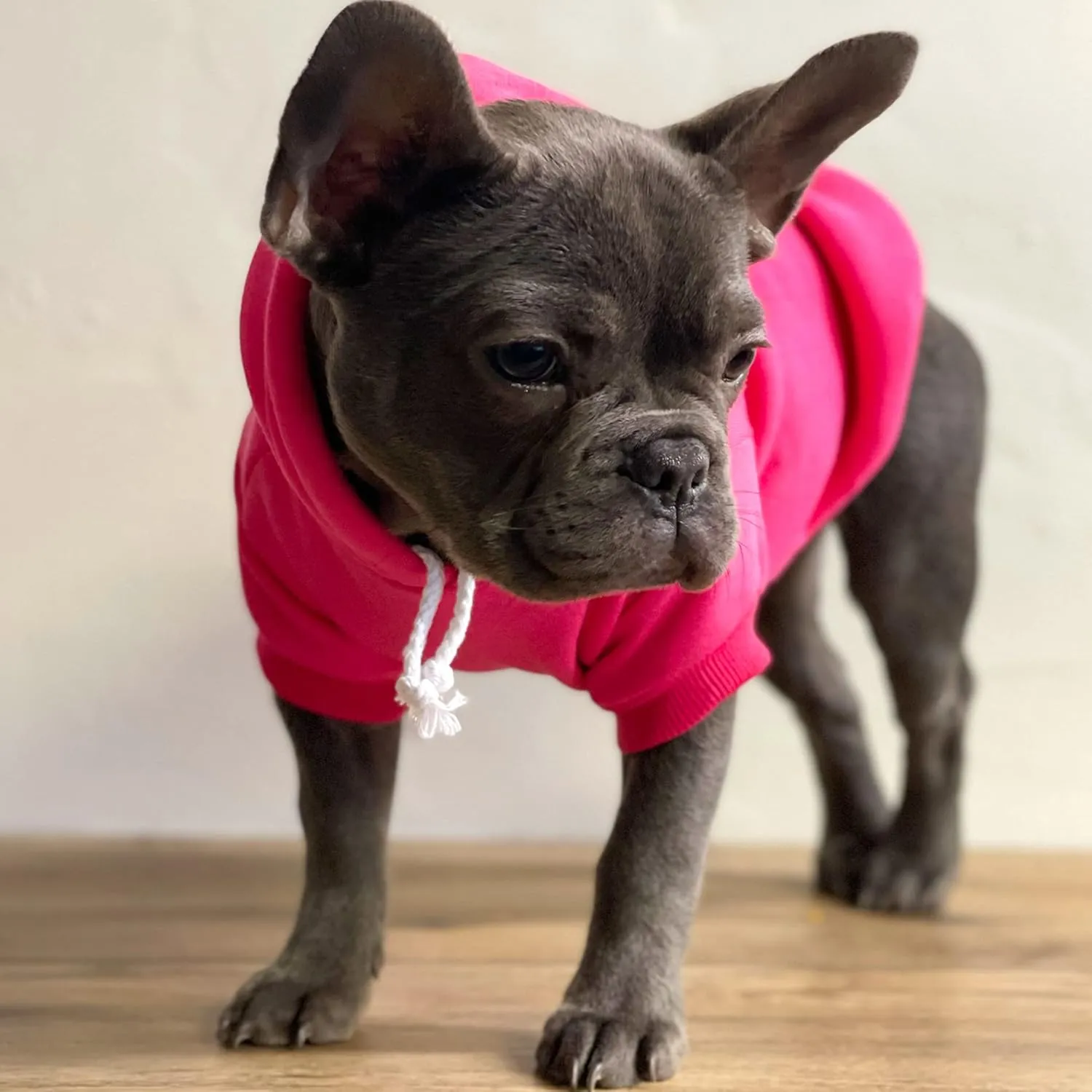 It's My Birthday & I'll Bark If I Want to Dog Hoodie Fleece Lined Pullover Sweatshirt with Leash Hole (Grey, Medium 1078)