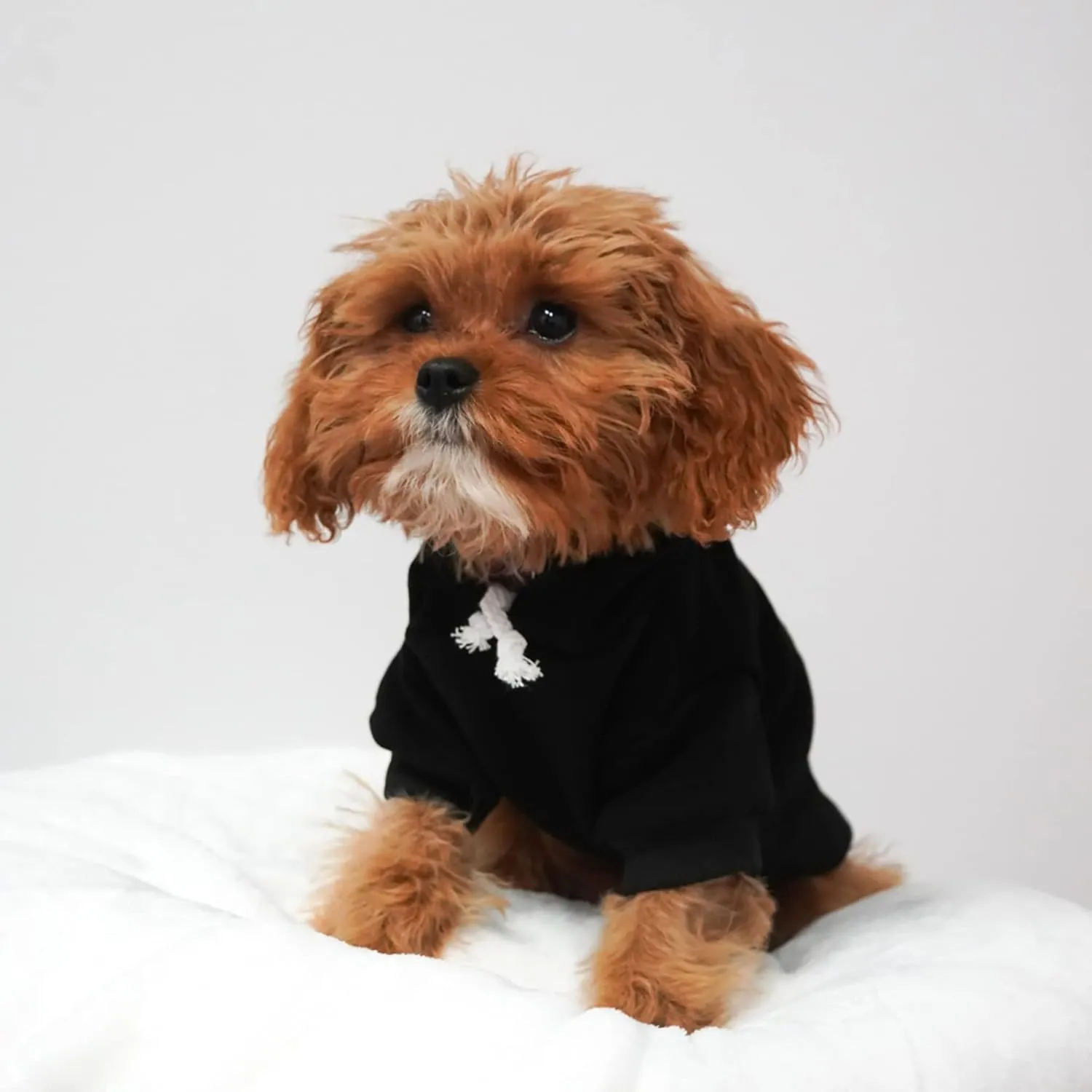 It's My Birthday & I'll Bark If I Want to Dog Hoodie Fleece Lined Pullover Sweatshirt with Leash Hole (Grey, Medium 1078)