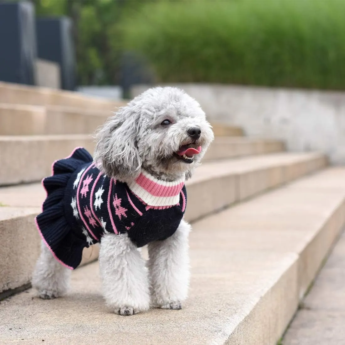 KYEESE Dog Sweater for Small Dogs - Warm Winter Coat with Leash Hole, Turtleneck Knit, Navy Blue, X-Small