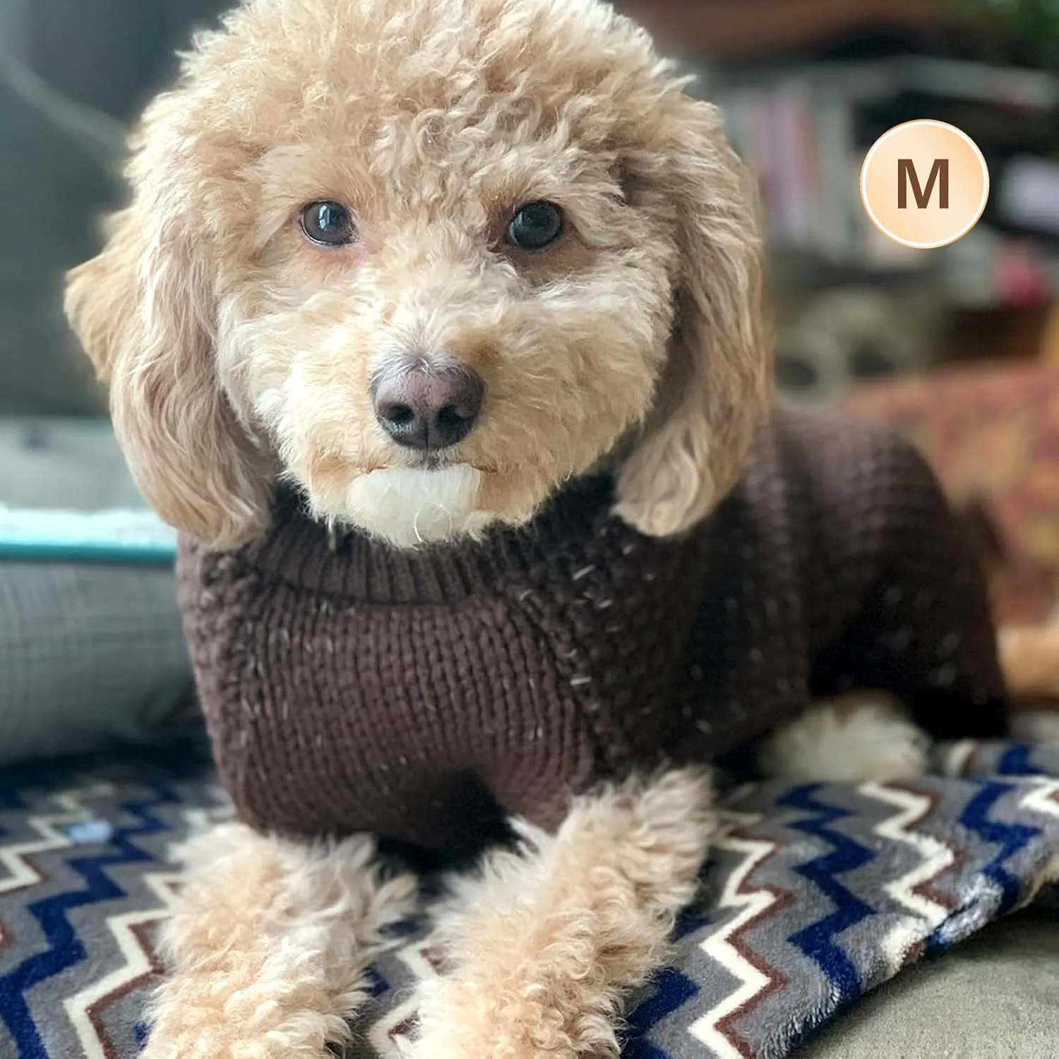 KYEESE Dog Sweater Small Dog Sweater with Reflective Yarn Stretchy Pet Coats Warm Pet Sweater for Small Dogs Male Comfy Dogs Clothes with Leash Hole, Khaki, XS