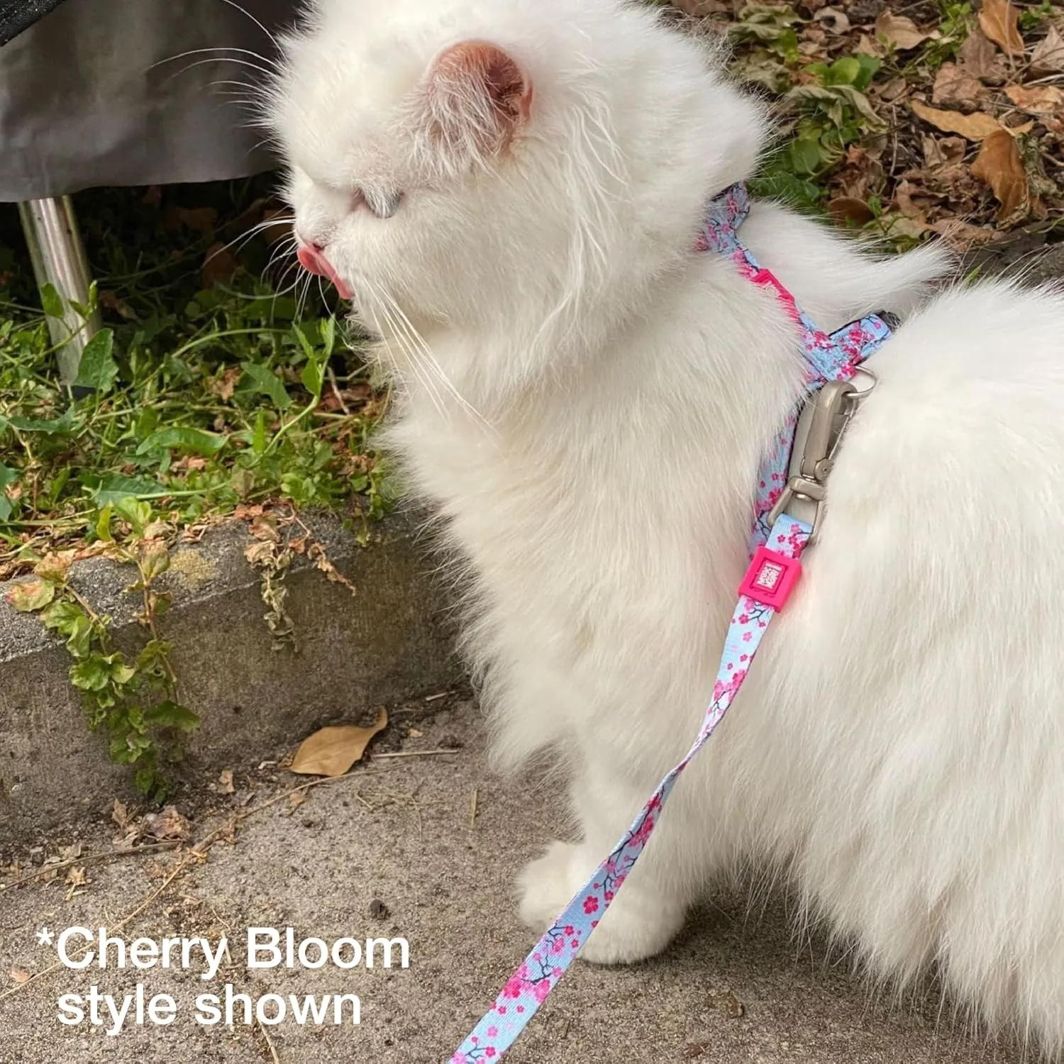 Max and Molly Adjustable Cat Harness and Leash Set - Escape-Proof Cat Harness with Leash for Outdoor Walking and Exploring, Soft Padded Double Stitched Material (Cherry Bloom)