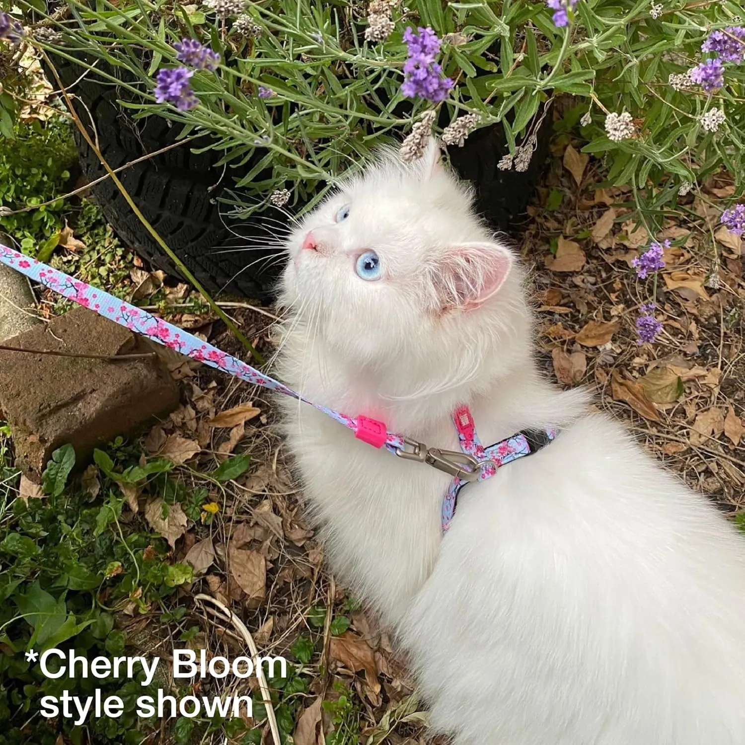 Max and Molly Adjustable Cat Harness and Leash Set - Escape-Proof Cat Harness with Leash for Outdoor Walking and Exploring, Soft Padded Double Stitched Material (Cherry Bloom)
