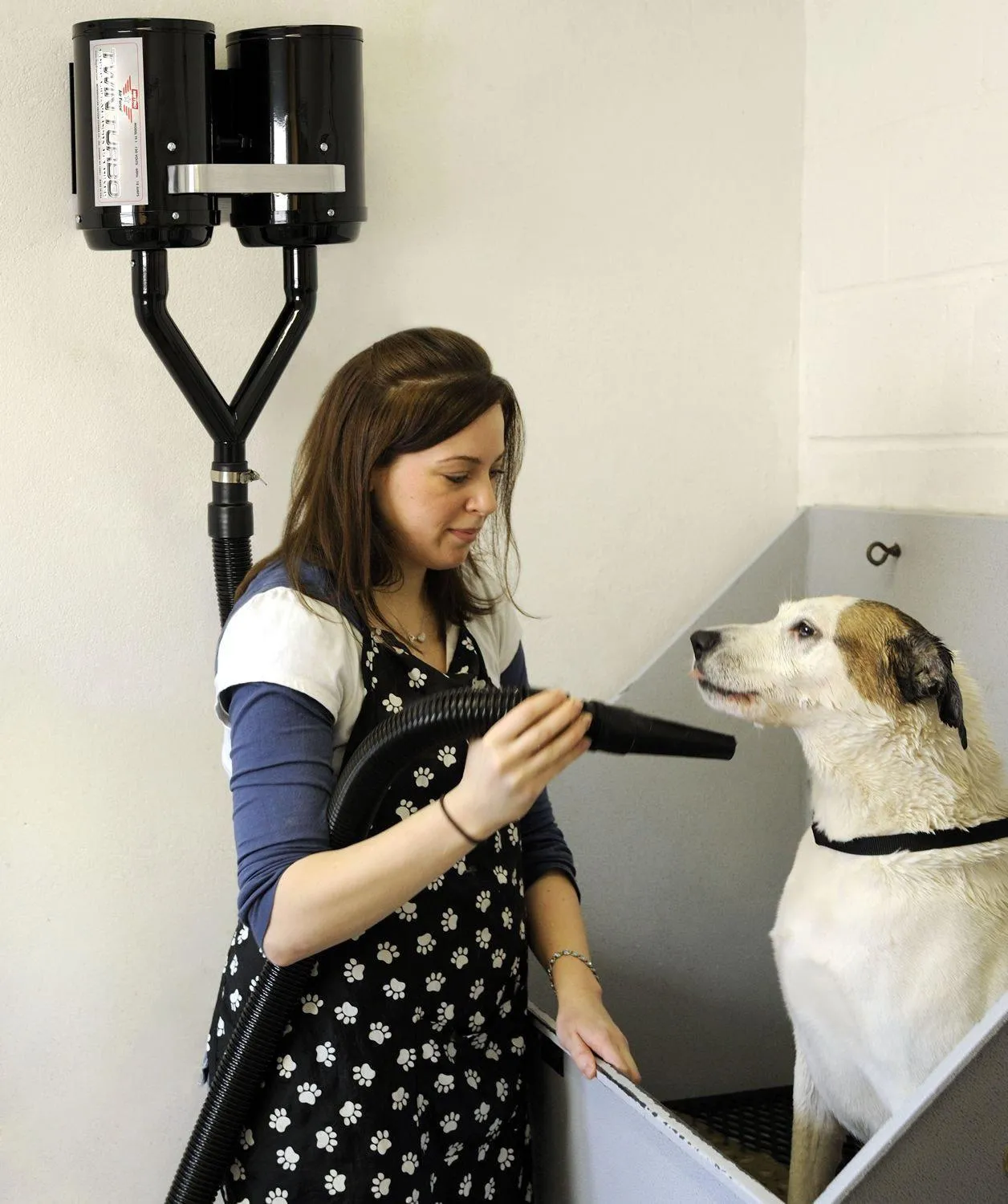 Metrovac Air Force Twin Turbo Velocity Wall Mount Dryer for Dogs & Pets