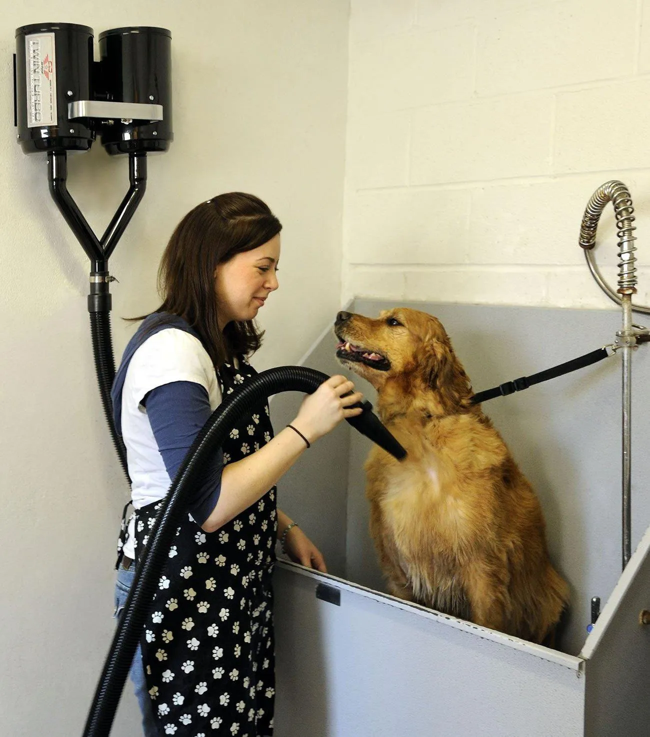 Metrovac Air Force Twin Turbo Velocity Wall Mount Dryer for Dogs & Pets