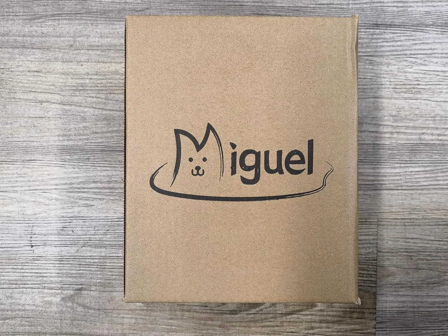 Miguel Small Dog Bed Washable Removable Cover, Cat Bed for Indoor Cats Square, Cuddle Rectangle Pet Bed with Side Soft Bolster Puppy Bed Kitten Bed with Wall Slip-Resistant Bottom, Gray 20 Inch