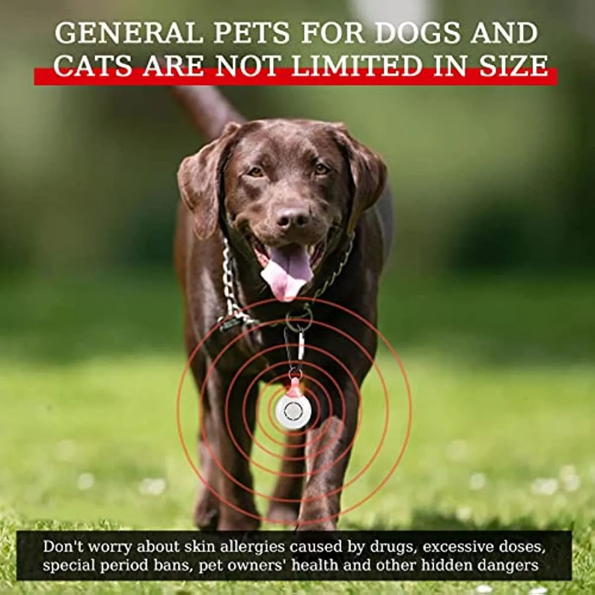 Natural Chemical-Free Tick and Flea Repeller