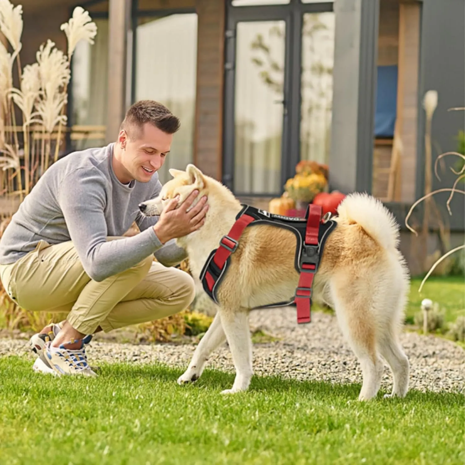 No Pull Dog Harness,Dog Walking Harness,Reflective Oxford Service Vest and Easy Control Handle Adjustable & Comfortable Soft Padded (Black, Lager(Neck:18.5"-25.1",Chest:21.2"-27.9"))